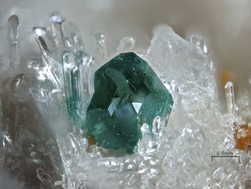 Paratacamite-1.jpg
