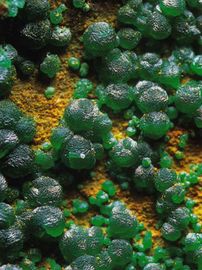 Bayldonite-2.jpg