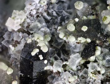 Cotunnite-5.jpg