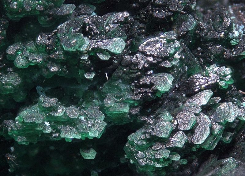 Файл:Euchlorine-5.jpg