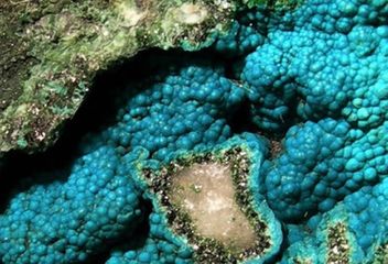Turquoise-1.jpg