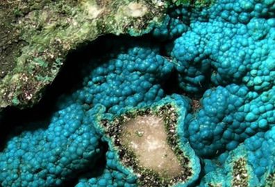 Turquoise-1.jpg