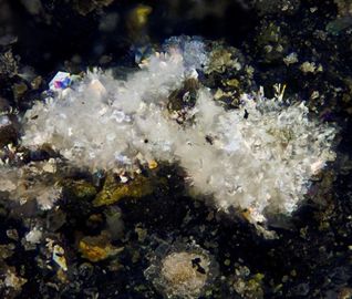 Abellaite-2.jpg