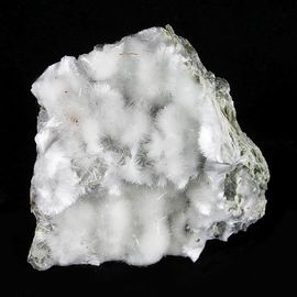 Artinite-1.jpg