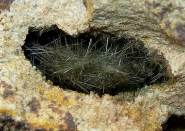 Actinolite-5.jpg