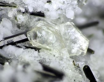 Muscovite-5.jpg