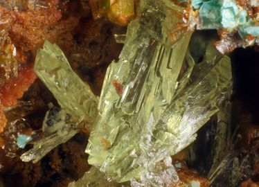 Agricolaite-1.jpg