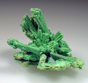 Arsentsumebite-6.jpg