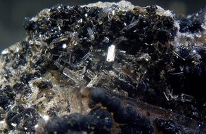 Alamosite.jpg
