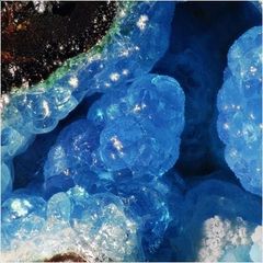 ALLOFAN-1.jpg