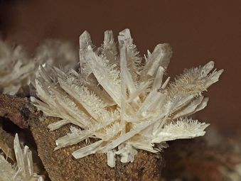 Valentinite-8.jpg