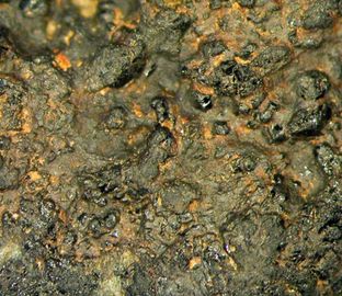 Allanite-(La)-1.jpg