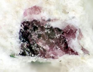 Aqualite-2.jpg