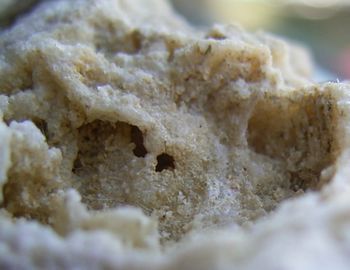 Gearksutite-2.jpg