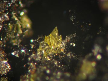 Corkite-8.jpg
