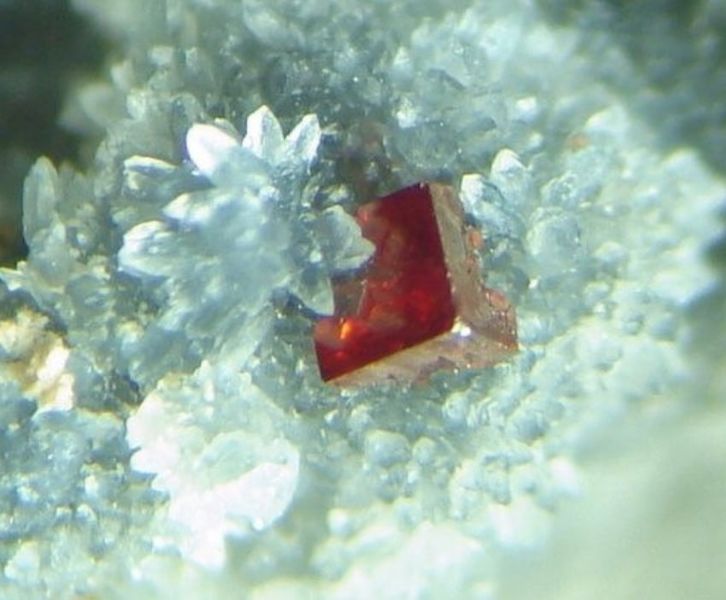 Файл:Galkhaite-7.jpg