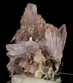 Creedite-6.jpg