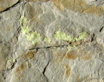 ABERNATHYITE-4.jpg