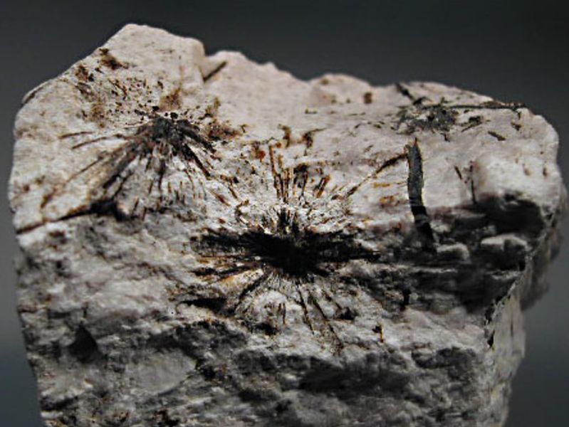 Файл:Umbozerite-4.jpg