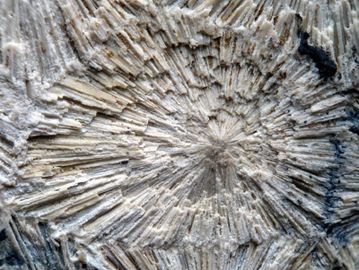 Crandallite-5.jpg