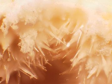 Goslarite-6.jpg