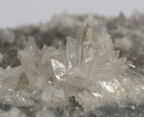 Priceite-4.jpg