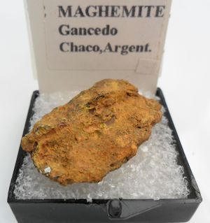 MAGGEMIT.jpg