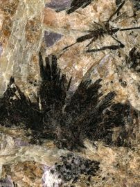 Umbozerite-7.jpg