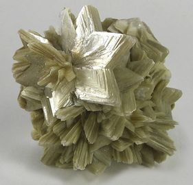 Muscovite.jpg