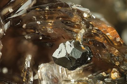 Synadelphite-4.jpg