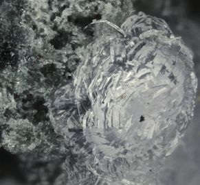 Aluminocoquimbite-4.jpg