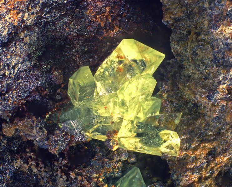Файл:Agricolaite.jpg