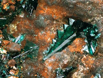 Clinoatacamite-1.jpg