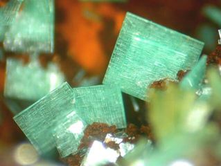 Metazeunerite-4.jpg
