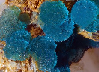 Turquoise-7.jpg