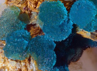 Turquoise-7.jpg