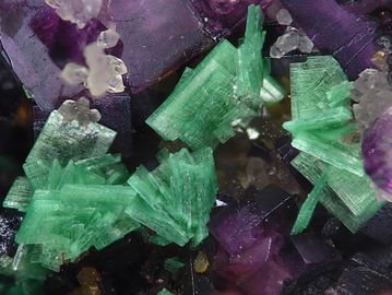 Metazeunerite-1.jpg