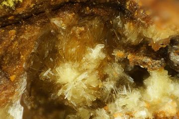 Deliensite-6.jpg