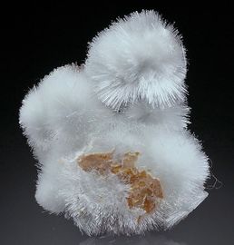 Artinite-5.jpg
