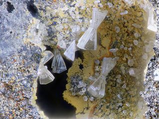 Valentinite-1.jpg