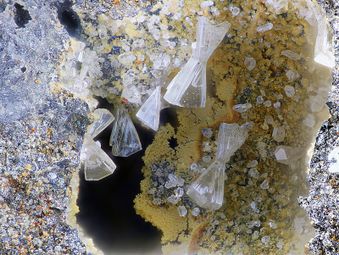 Valentinite-1.jpg