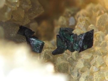 Clinoatacamite-10.jpg