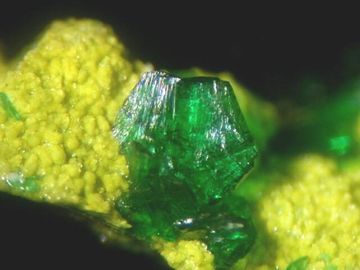 Bayldonite-4.jpg