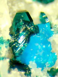 Lammerite-1.jpg