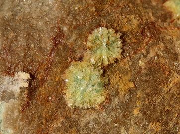 ABERNATHYITE-2.jpg