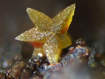 Corkite-3.jpg