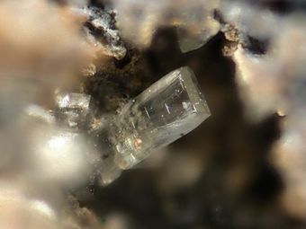 Valentinite-4.jpg