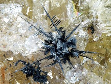 ACANTHITE-2.jpg
