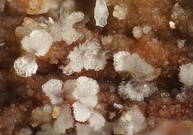 Adranosite-(Al)-5.jpg