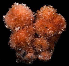 Creedite-4.jpg